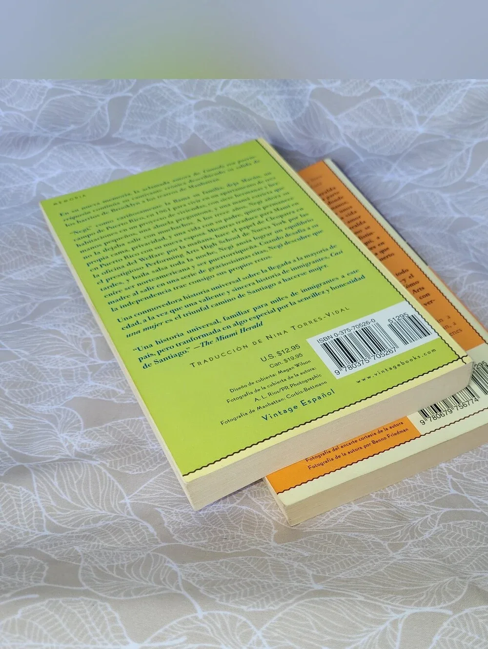 Esmeranda Santiago Cuando Era Puertoriquena & Casi Una Mujer spanish-Books- Lot
